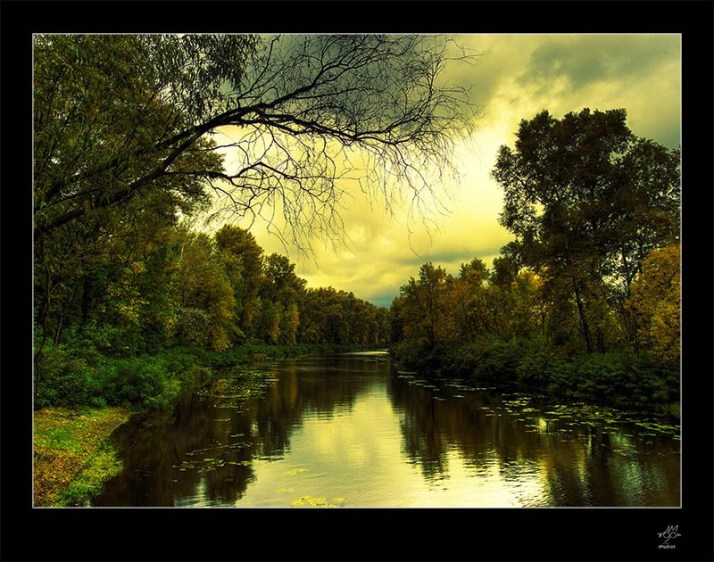 7158050_1c573_20e0e792_XL