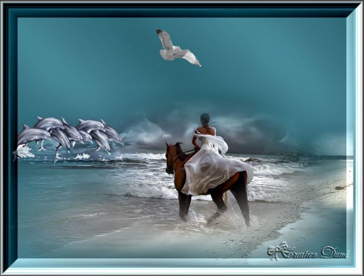 849155LA_BELLE__ET_LES_DAUPHINS