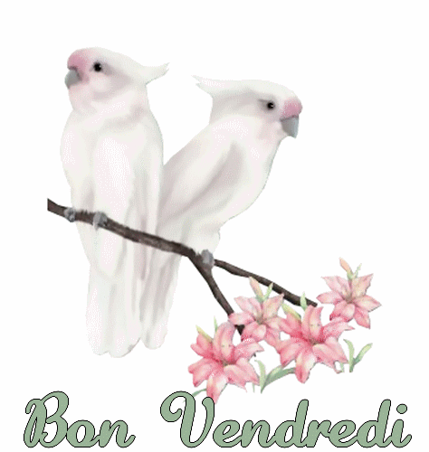 BON%20VENDREDI2