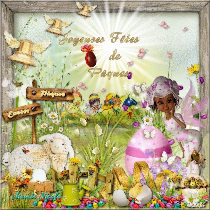 c579-dc3a9fi-babouchka