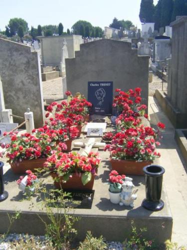 ???????????????????????