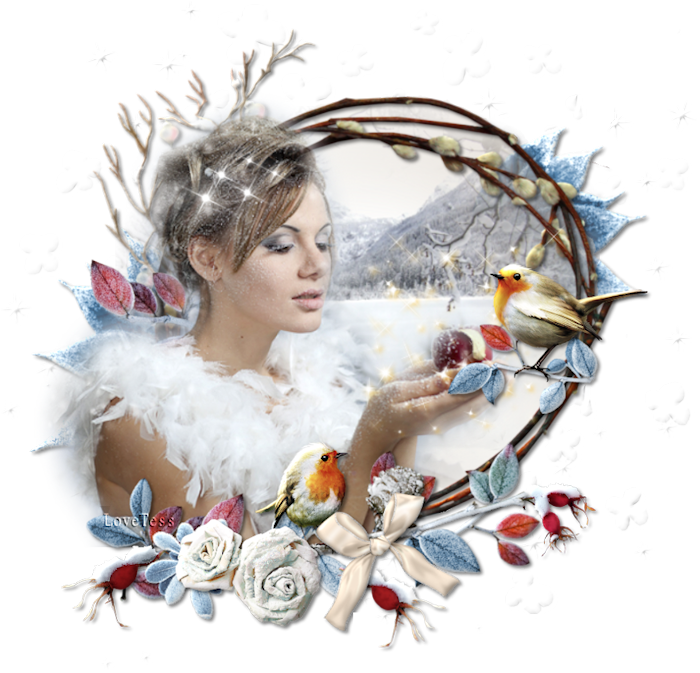 177390Fairywinter700