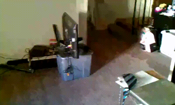 2629_une_sieste_surprise