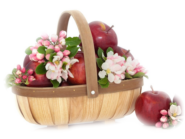 0yADrnllLRTnEXnMMKJ5RHfY1Ys