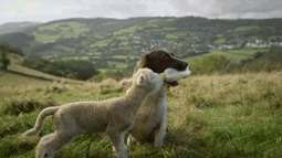 tumblr_mhn9vhckqD1qh9lejo1_400