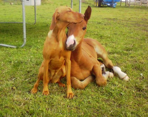 tumblr_mhr73k2Zbe1qdm7byo1_500