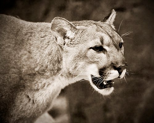 2523514345_b571a894e4