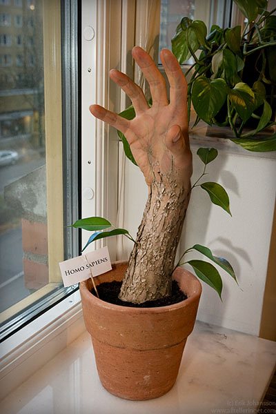 inspirational-photo-manipulation-by-erik-johansson-homosapie