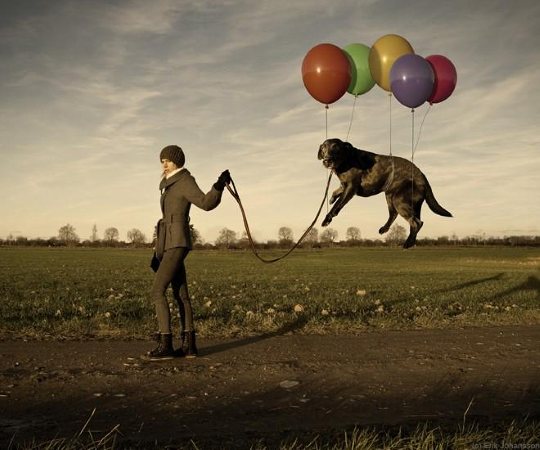 portfolio-erik-johansson-L-1