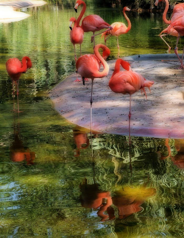 81DB5A7D8A7E4E6E9382FD9859FAFE53_JounPC