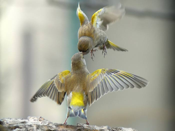 9A50CBDD08424B1F9879E011717BD683_JounPC