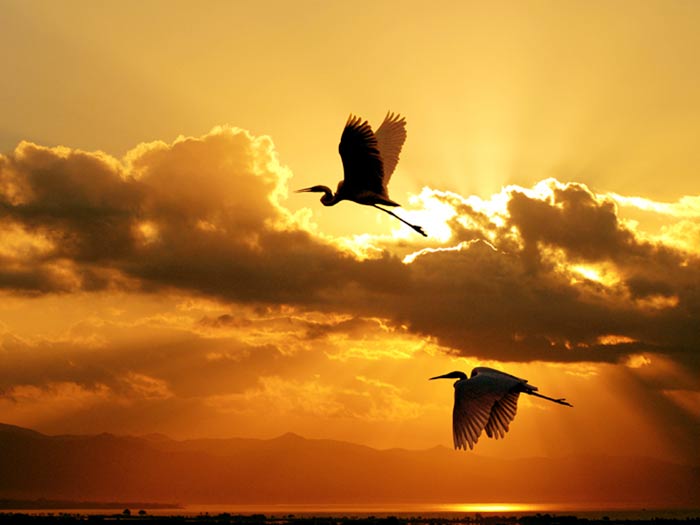 F32724AA7729466E9311EF171A8C73E4_JounPC