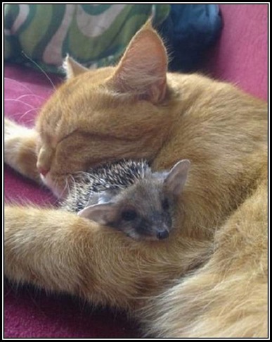 50DBBF804887433ABD51B4B7886EAAFA@PCMARIENICOLE299999