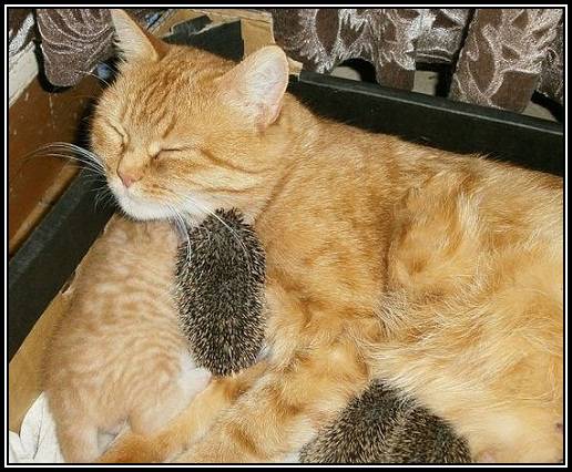 55B7BE1544C54A5B875845730E3E9490@PCMARIENICOLE344444