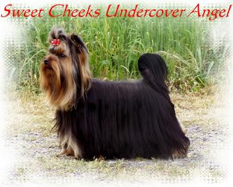 angel_220507_nath238