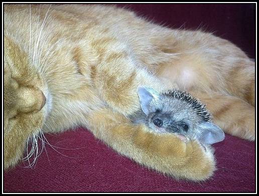 B40DAC7B62364644B561F203C6E978DE@PCMARIENICOLE766666