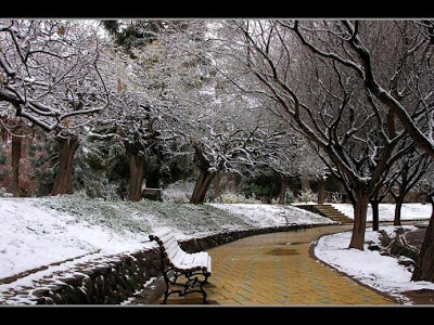 Carlos Alberto Bau 10