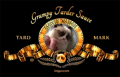 8_Production-du-chat-grognon