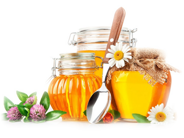 aNDdnjOdFCtWS8Dz-uu35l775DA