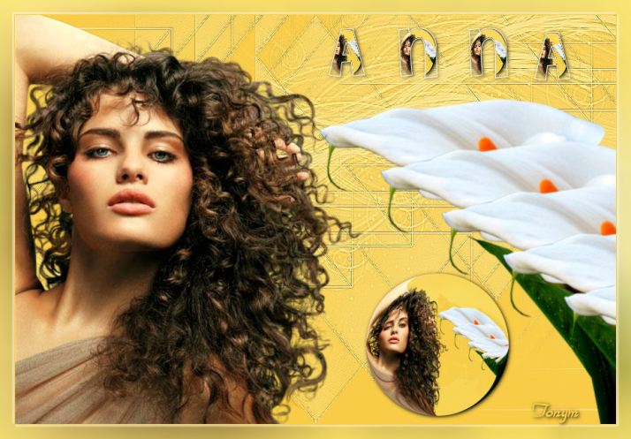 annabr_tuto30_tonymT