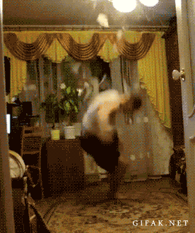 Faire-des-gestes-acrobatiques-à-la-maison-nest-pas-toujours-une-bonne-décision