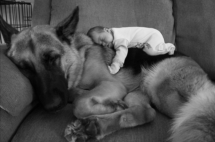 20-photos-adorables-qui-prouvent-que-vos-enfants-ont-besoin-dun-animal-de-compagnie9