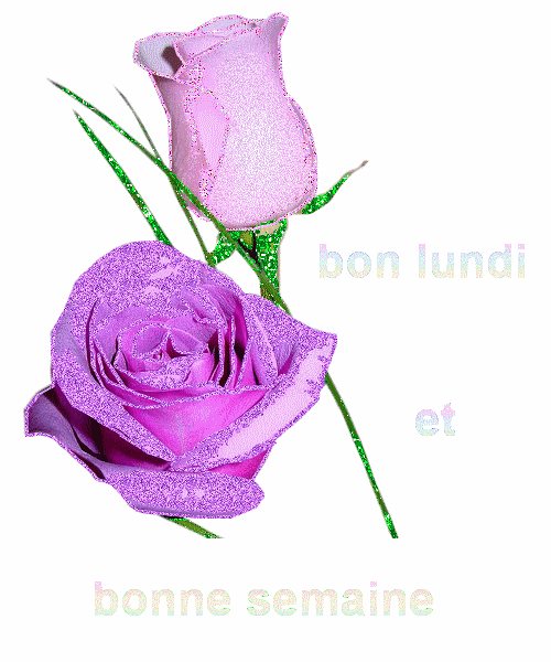 bon%20lundi44