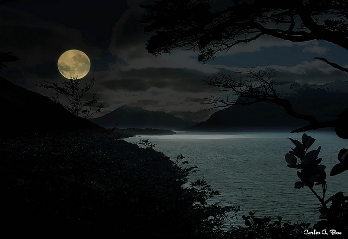 Afficher l’image source